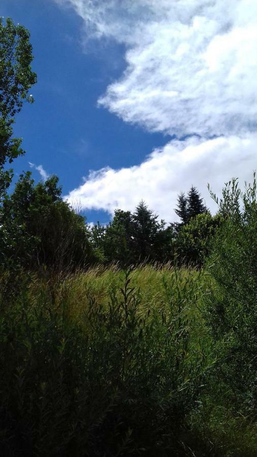 Loz'Aire Naturelle Quezac  Exteriör bild