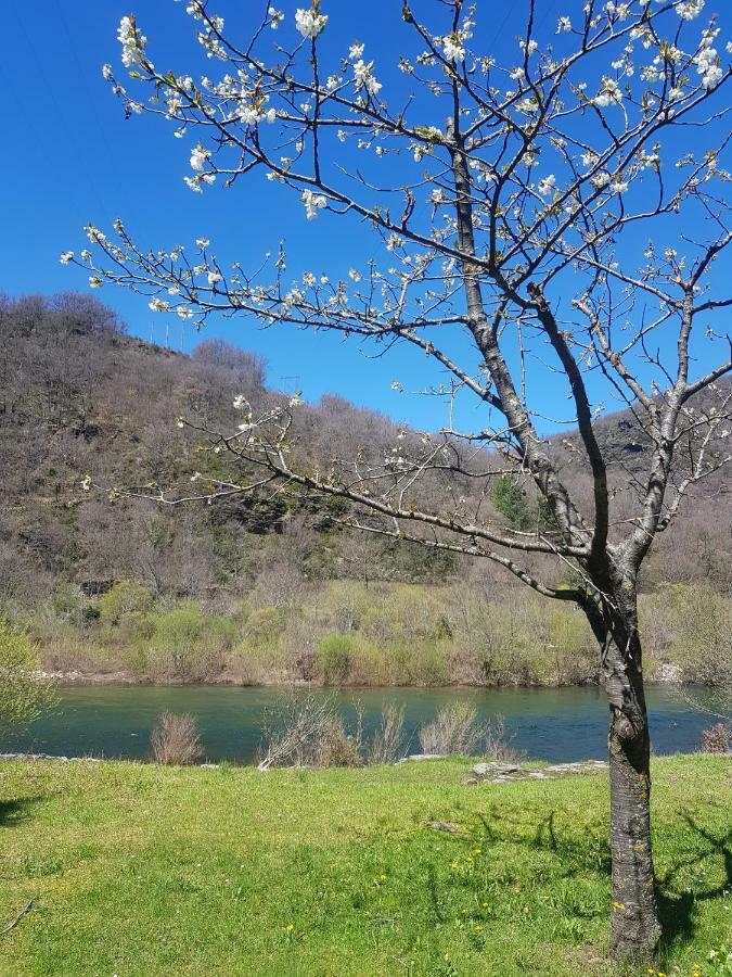 Loz'Aire Naturelle Quezac  Exteriör bild